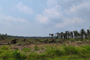 Bukit Pelandok, Lukut