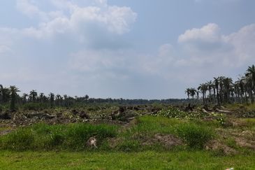Bukit Pelandok, Lukut