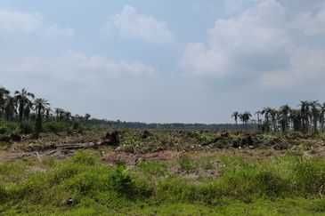 Bukit Pelandok, Lukut
