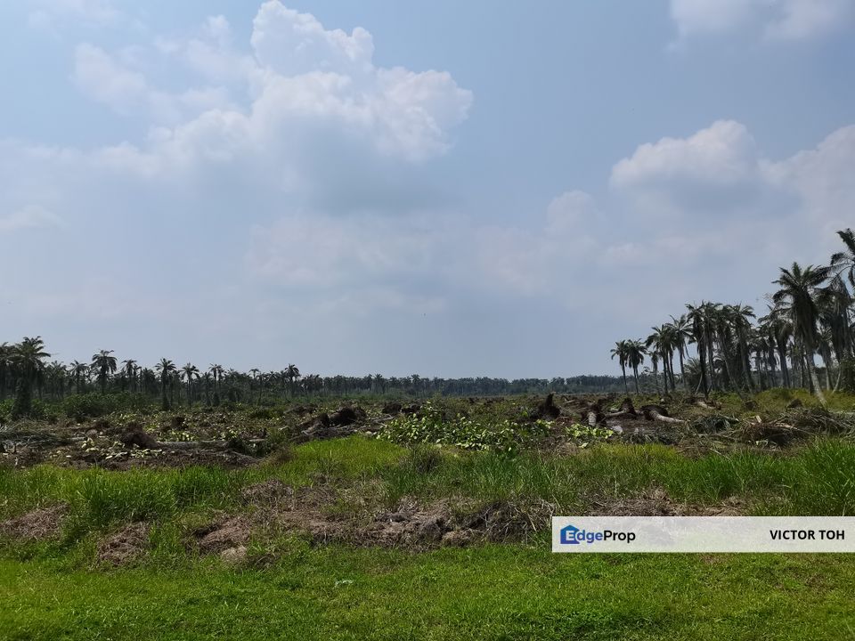 Agriculture land and commercial land for sale neighbour Malaysia Vision Valley near KLIA , Negeri Sembilan, Port Dickson