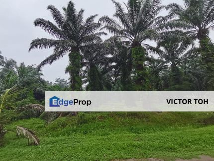 Agriculture land Dengkil for developement with reach Bangi and Kajang, Selangor, Sepang