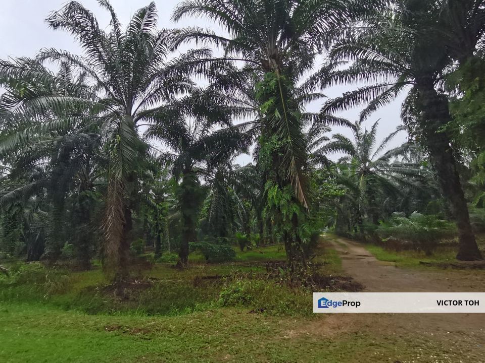 Agriculture land Dengkil for developement with reach Bangi and Kajang, Selangor, Sepang