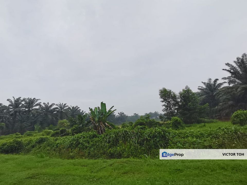 Agriculture land Dengkil for developement with reach Bangi and Kajang, Selangor, Sepang