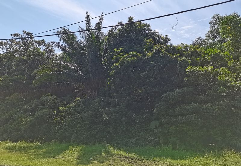 Bandar Banting agriculture land for sale 