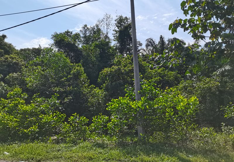 Bandar Banting agriculture land for sale 