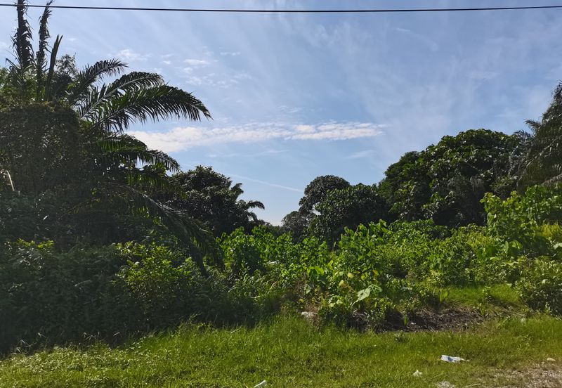 Bandar Banting agriculture land for sale 