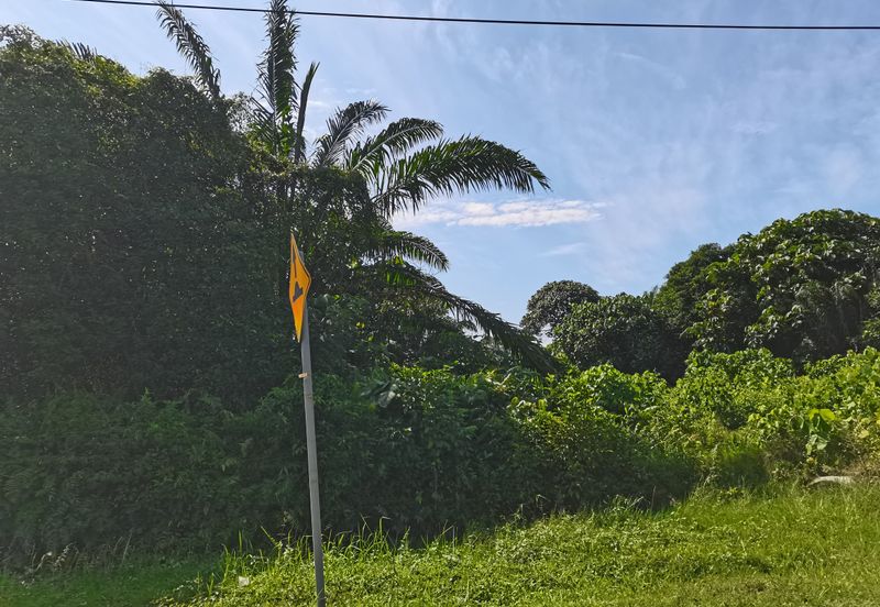 Bandar Banting agriculture land for sale 