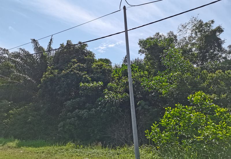 Bandar Banting agriculture land for sale 