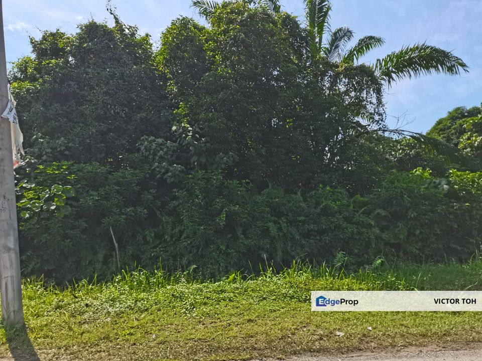 Bandar Banting agriculture land for sale , Selangor, Kuala Langat