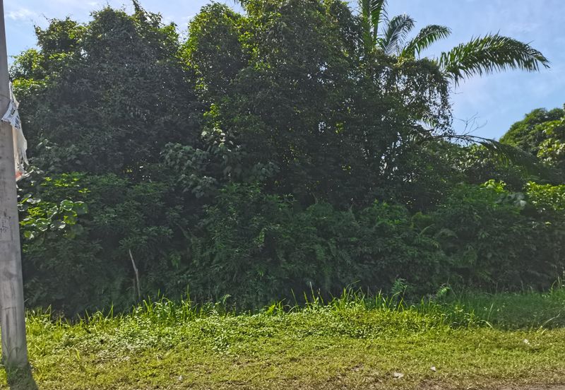 Bandar Banting agriculture land for sale 
