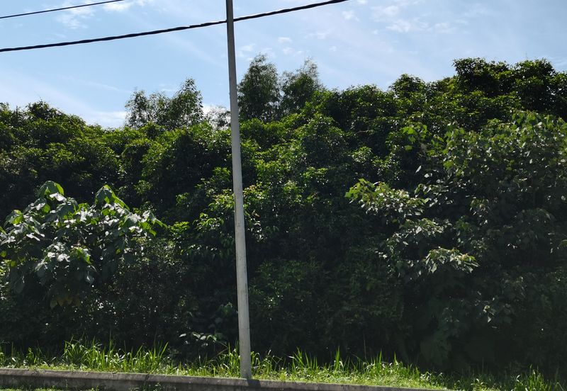 Bandar Banting agriculture land for sale 