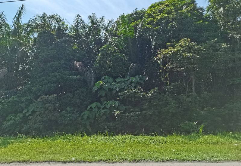 Bandar Banting agriculture land for sale 