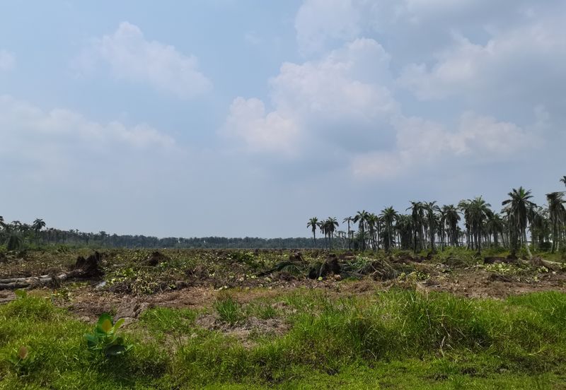 Kuala Selangor agriculture land for sale with road access and infra