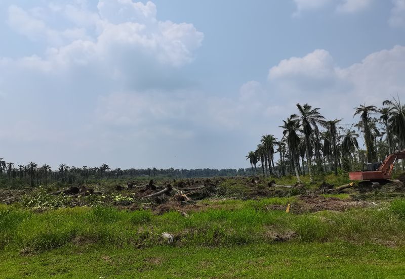 Kuala Selangor agriculture land for sale with road access and infra