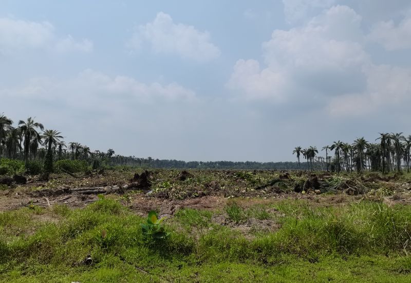 Kuala Selangor agriculture land for sale with road access and infra