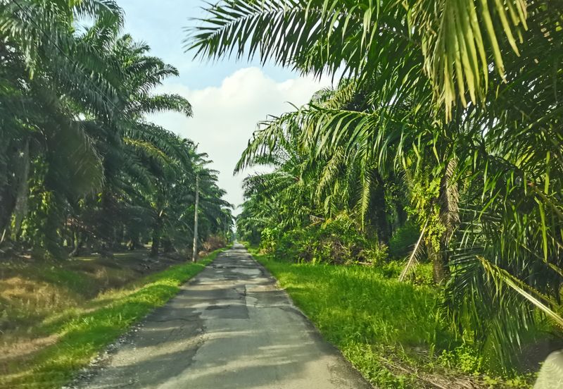 Telok Panglima Garang