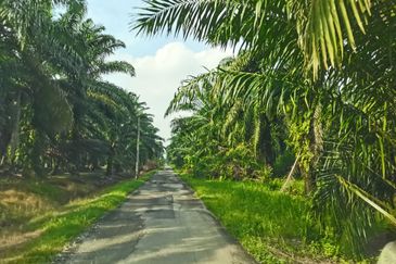 Telok Panglima Garang