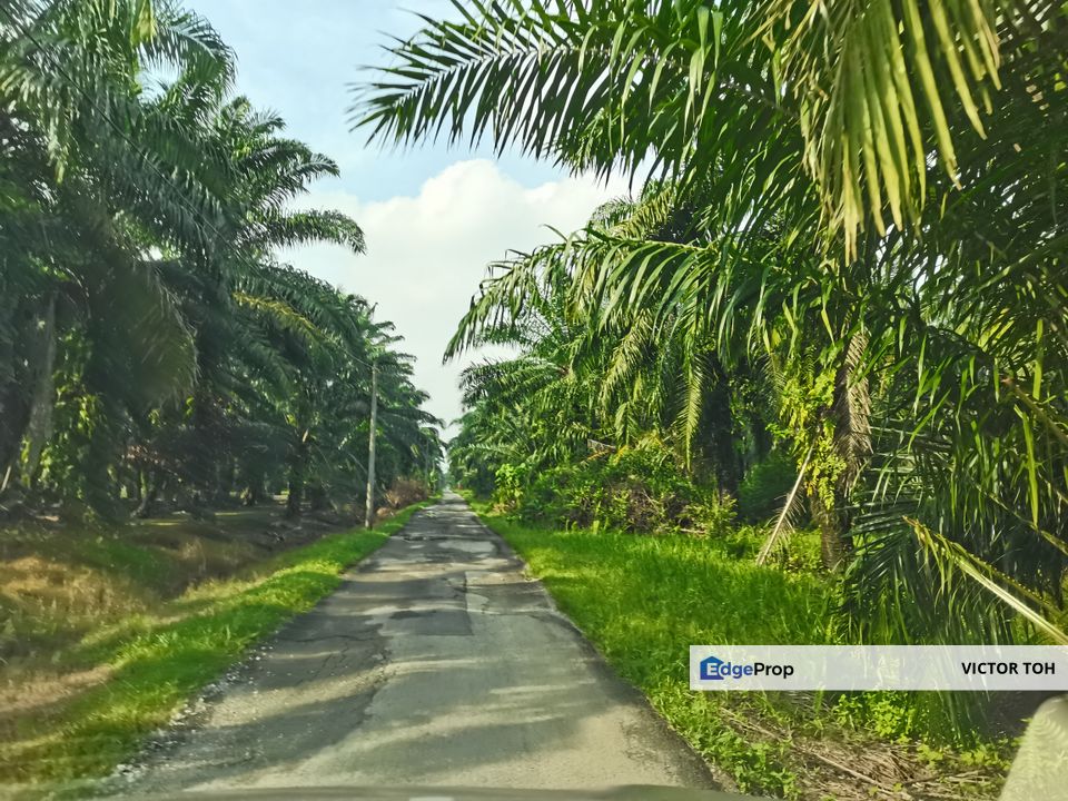 Agricalture land for sale Telok Panglima Garang near Jenjarom Kuala Langat , Selangor, Kuala Langat