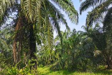 Telok Panglima Garang