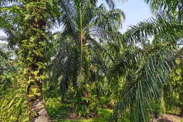 Telok Panglima Garang