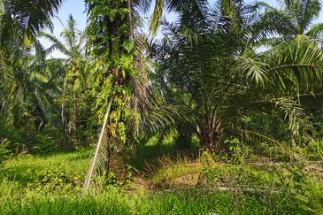 Telok Panglima Garang