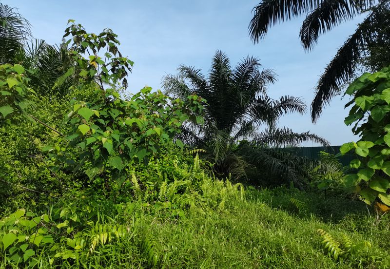 Telok Panglima Garang