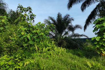 Telok Panglima Garang