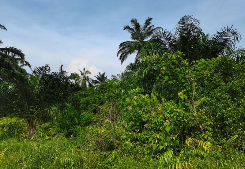 Telok Panglima Garang