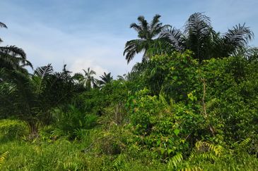 Telok Panglima Garang