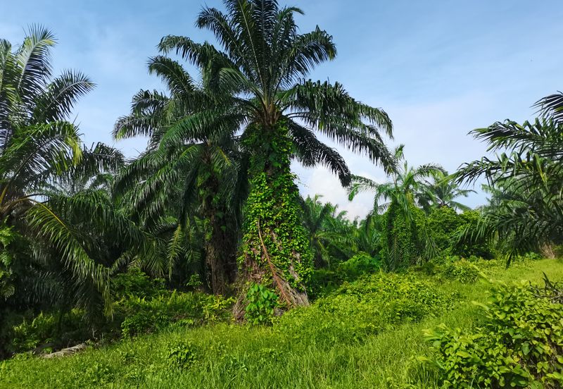 Telok Panglima Garang