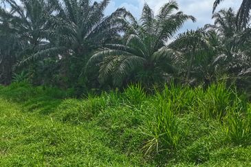 Telok Panglima Garang