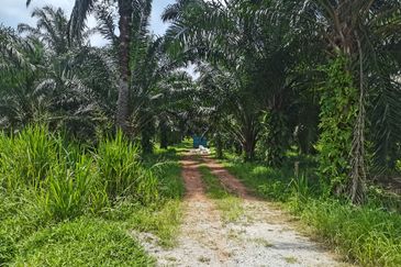 Telok Panglima Garang