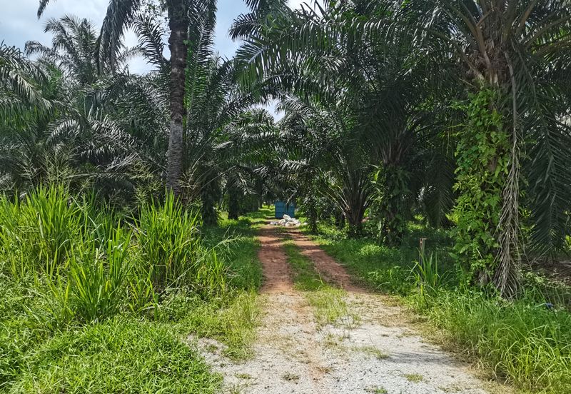 Telok Panglima Garang