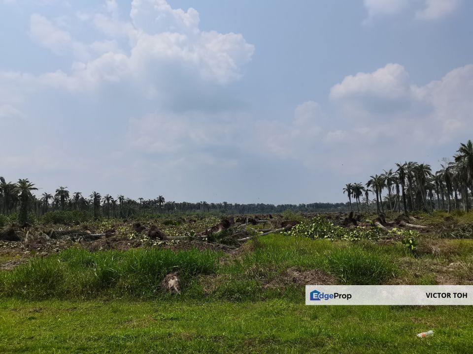 Jenjarom Telok Panglima Garang Kuala Langat near Rimbayu township , Selangor, Jenjarom