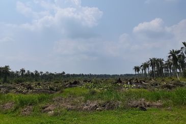 Kampung Jenjarom