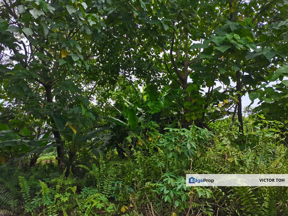 Vacant land Gurun near town and easy access highway, Kedah, Kuala Muda