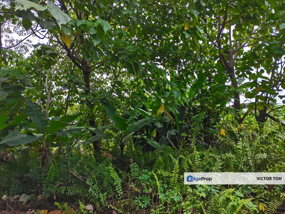 Vacant land Gurun near town and easy access highway, Kedah, Kuala Muda