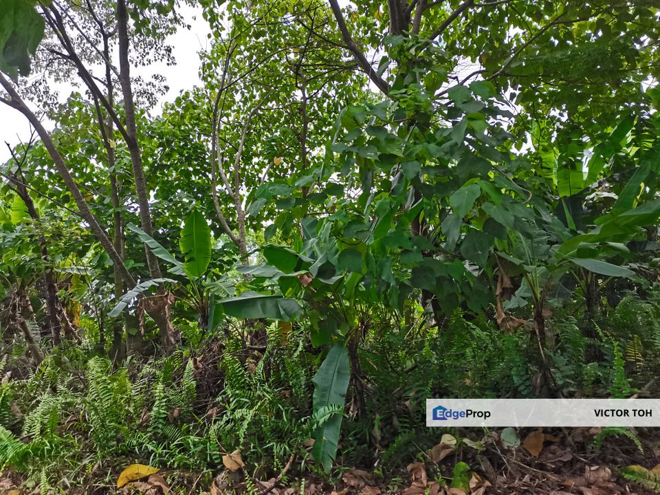 Vacant land Gurun near town and easy access highway, Kedah, Kuala Muda