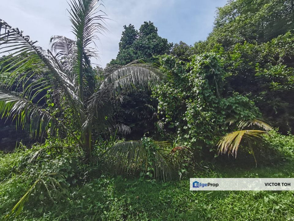Johan Setia agriculture land for sale , Selangor, Klang