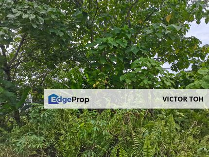 Jalan Johan Setia agriculture land for rent , Selangor, Klang