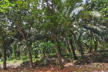 Kampung Bukit Lanchung