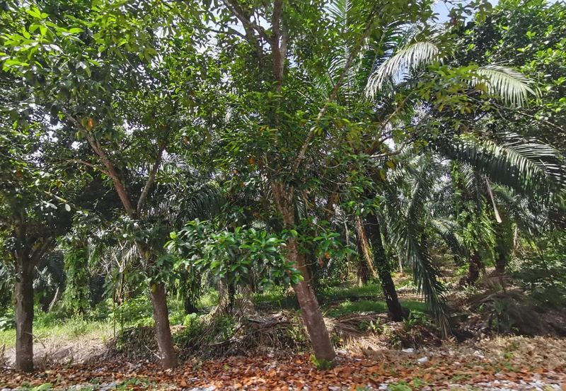 Kampung Bukit Lanchung