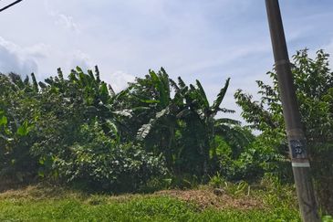 Kampung Bukit Lanchung