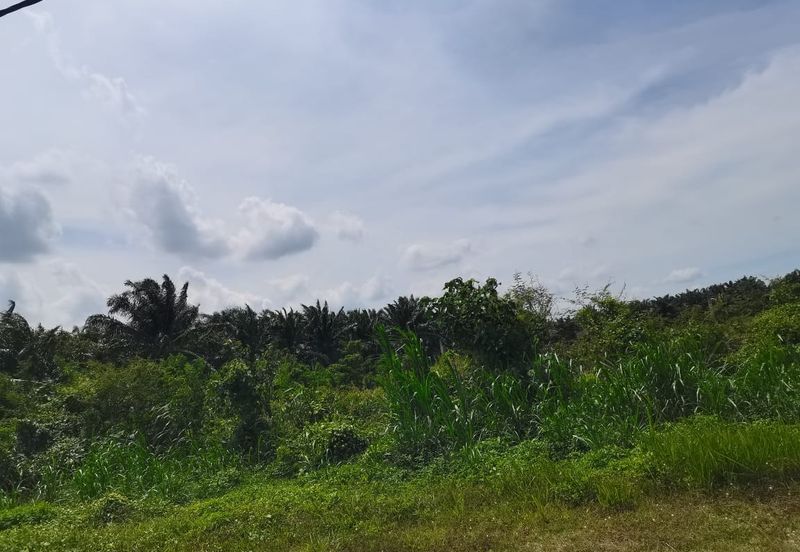 Kampung Bukit Lanchung