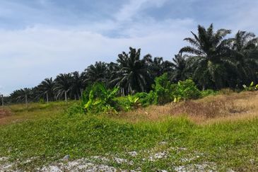 Kampung Bukit Lanchung