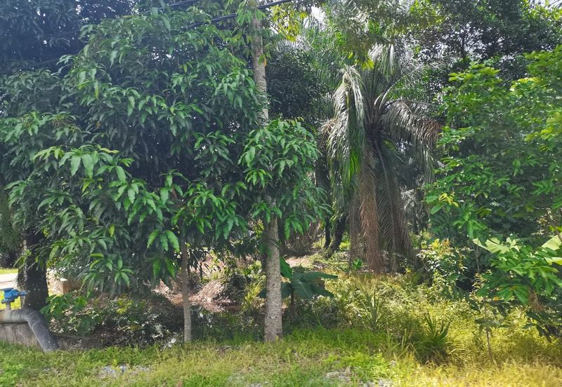 Kampung Bukit Lanchung