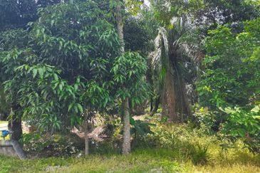 Kampung Bukit Lanchung