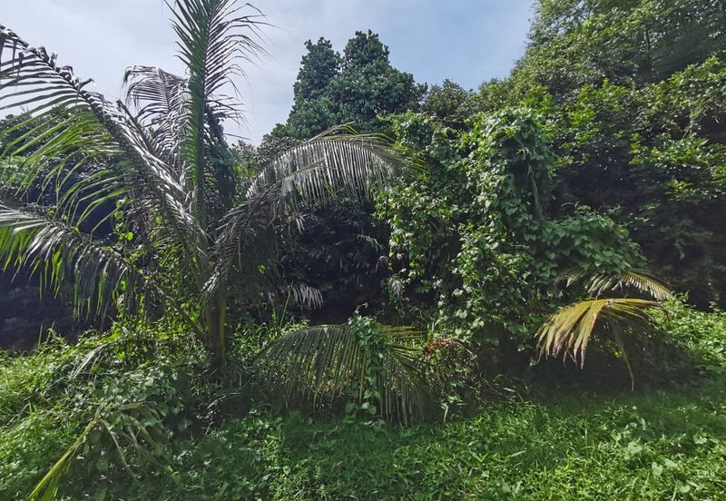 Kampung Bukit Lanchung