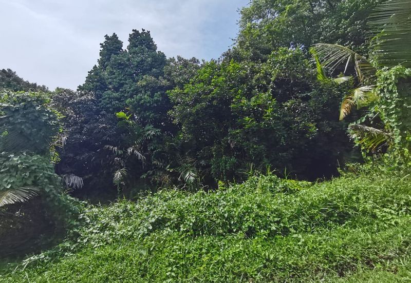 Kampung Bukit Lanchung