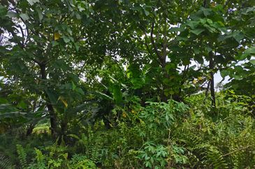 Kampung Bukit Lanchung